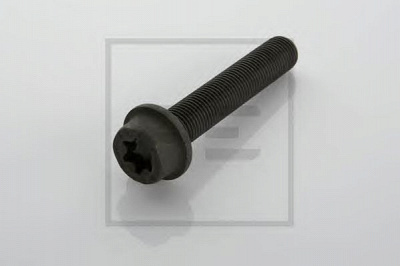 PE AUTOMOTIVE 01617600a -  Болт, диск тормозного механизма